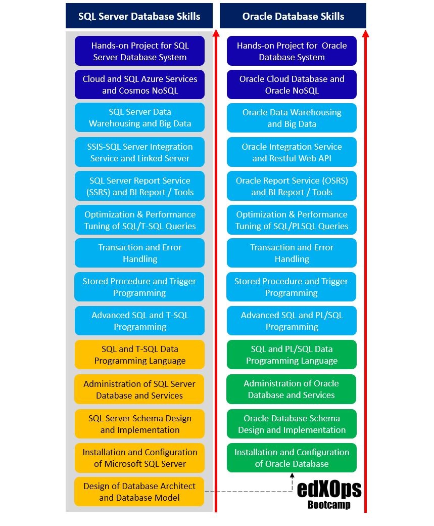 Relational Database Skills