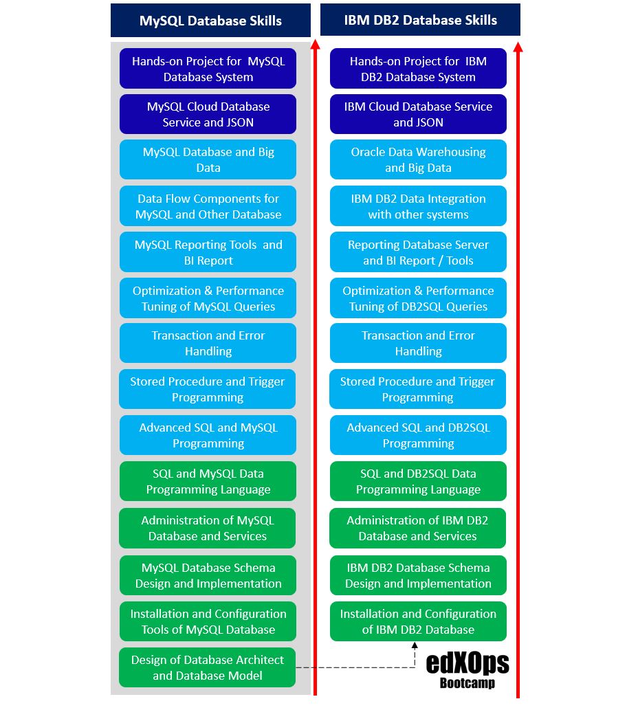 Relational Database Skills